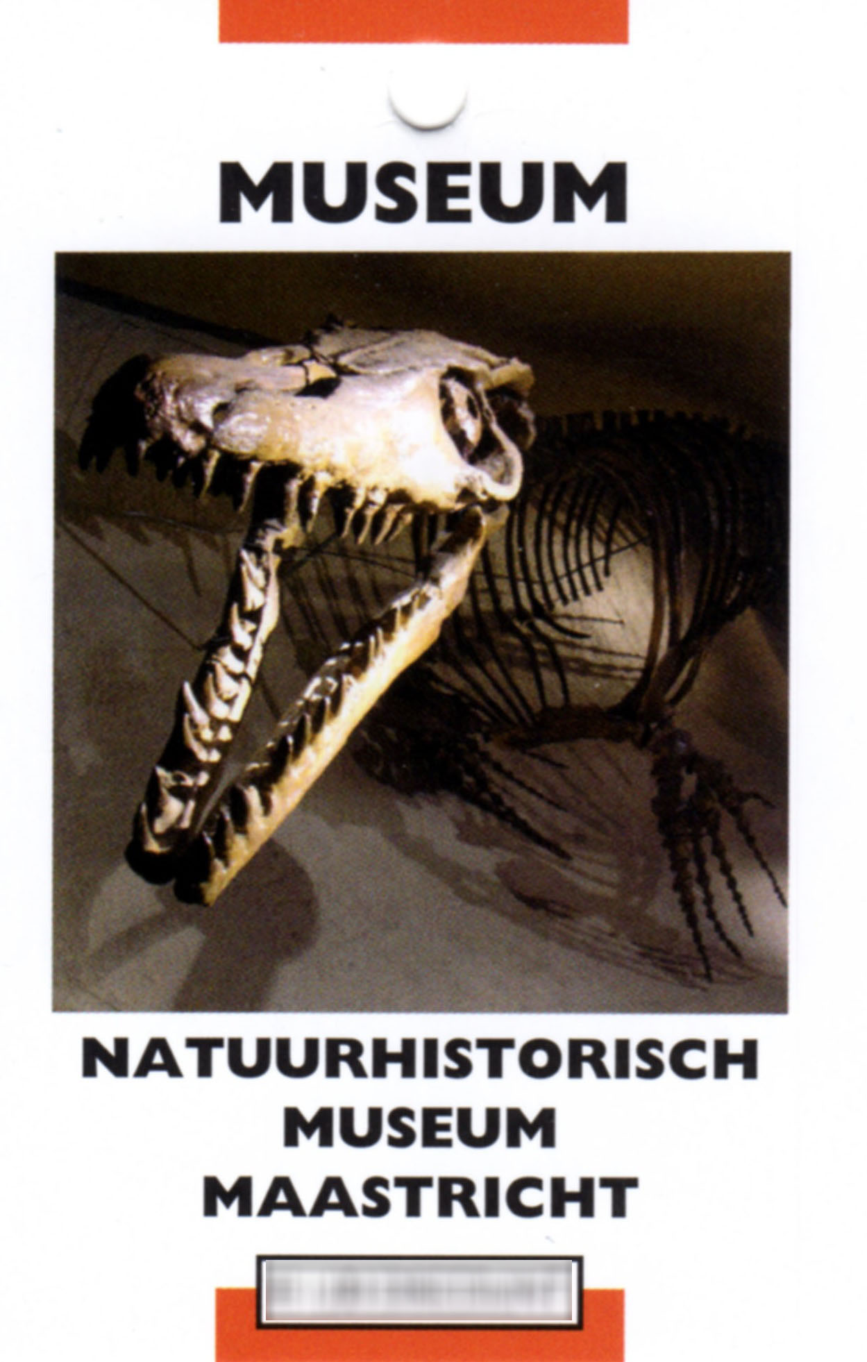 Natuurhistorisch Museum Maastricht